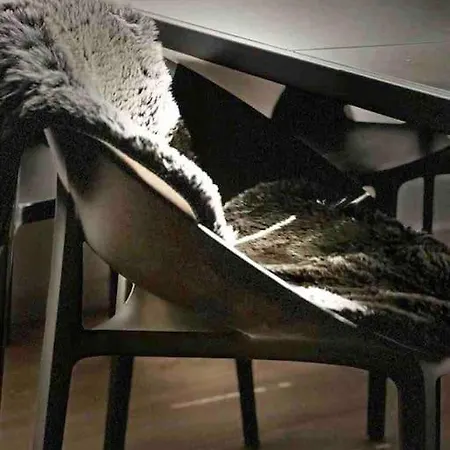 Apartamento Design - Wohnen Mit Stil Und Komfort *