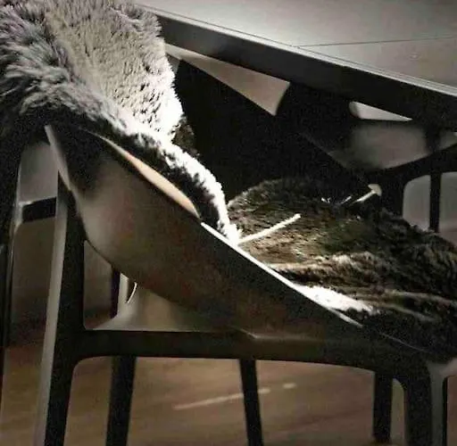 Appartamento Design - Wohnen Mit Stil Und Komfort *